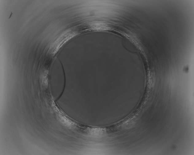 X0000114520889200911301114