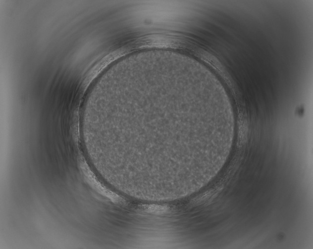 X0000114520890200911301114