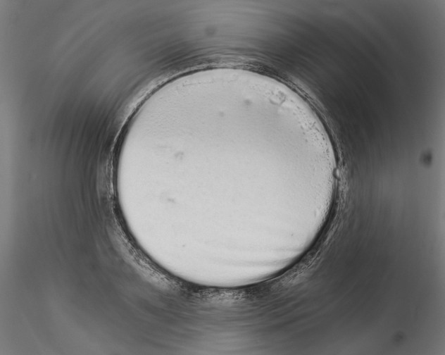 X0000114520891200911301114