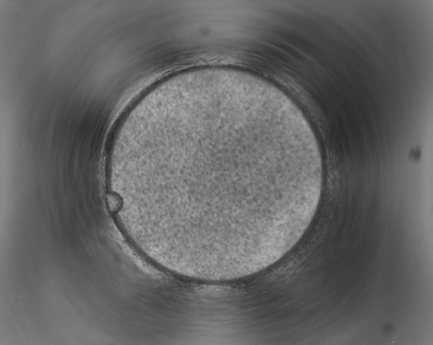 X0000114520894200911301114