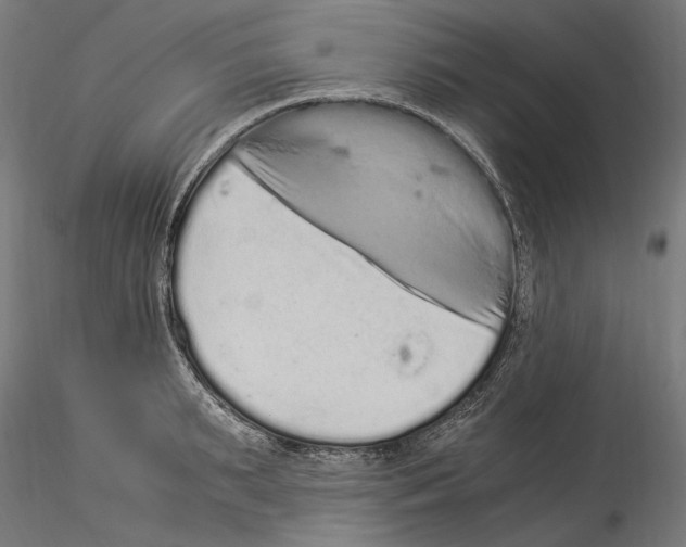 X0000114520895200911301114