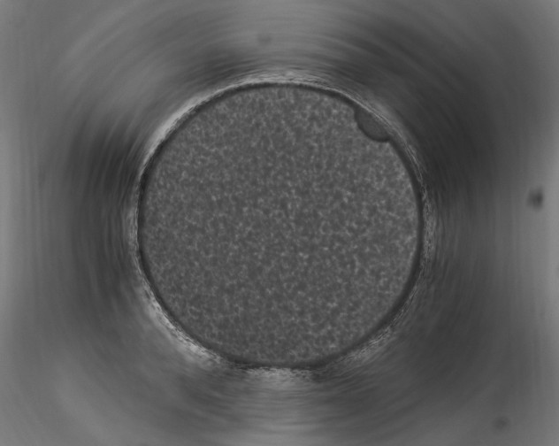 X0000114520896200911301114