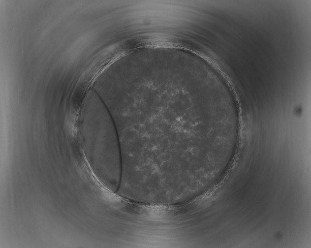 X0000114520897200911301114