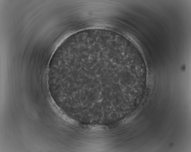 X0000114520899200911301114