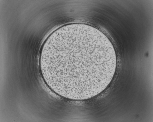 X0000114520900200911301113