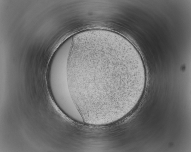 X0000114520901200911301113