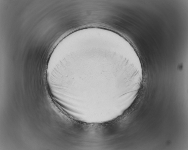 X0000114520903200911301113