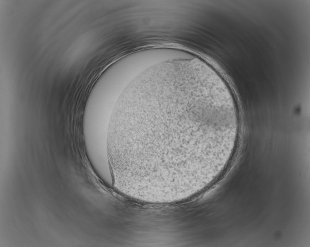 X0000114520905200911301113