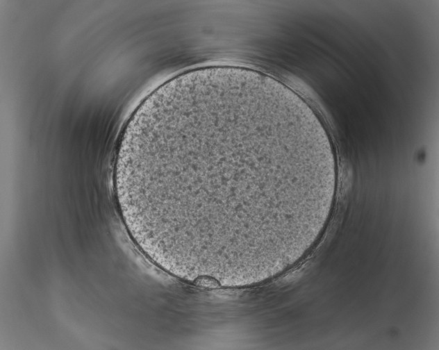 X0000114520908200911301113