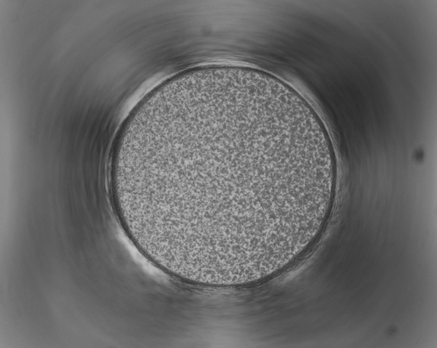 X0000114520909200911301113