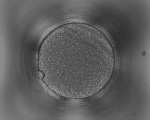 X0000114520910200911301113