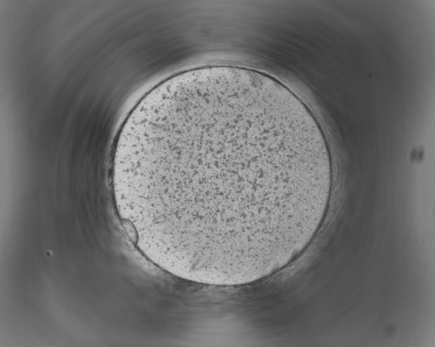 X0000114520912200911301113