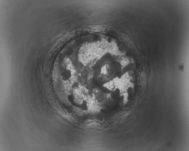 X0000114520913200911301113