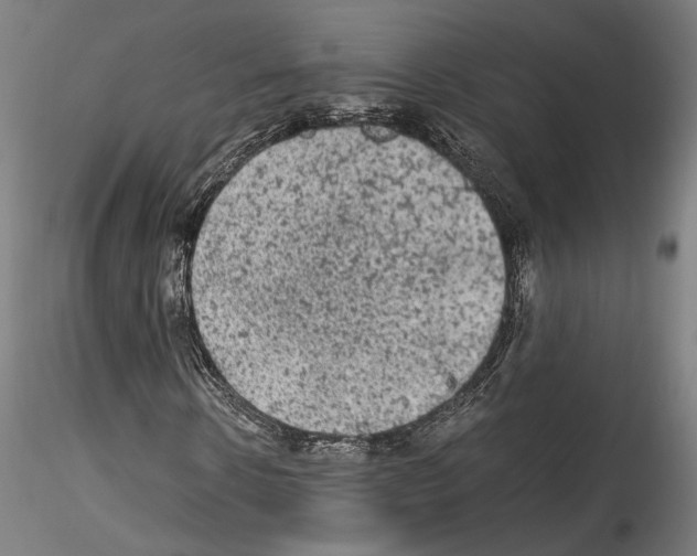 X0000114520914200911301113