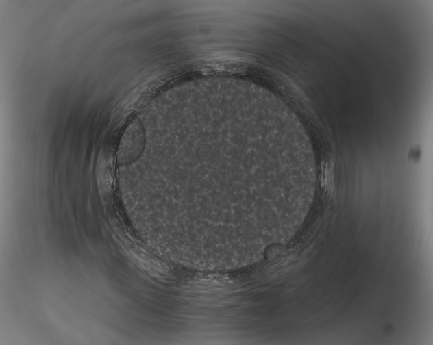 X0000114520915200911301113