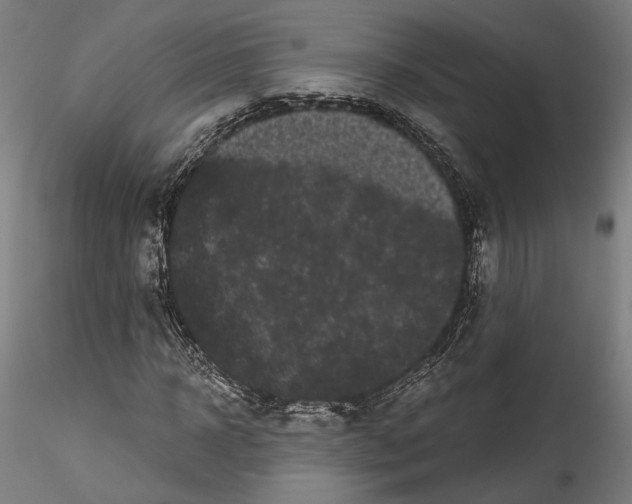 X0000114520918200911301113