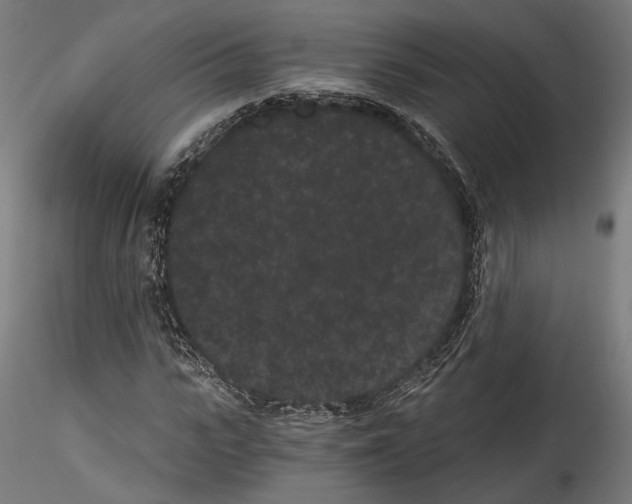 X0000114520919200911301113