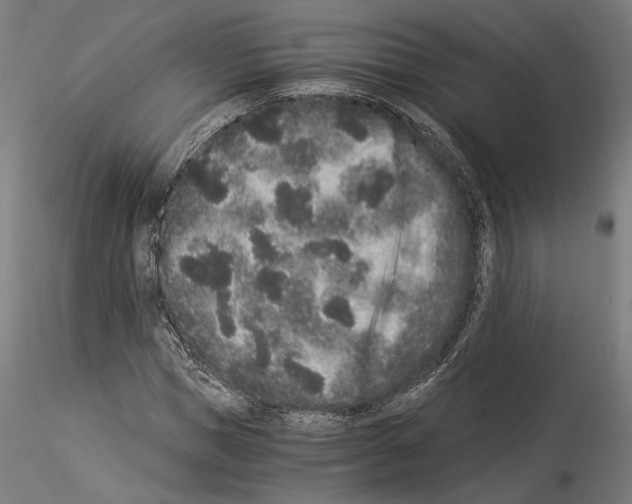 X0000114520921200911301113