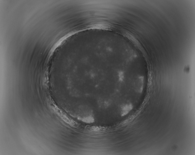 X0000114520923200911301113