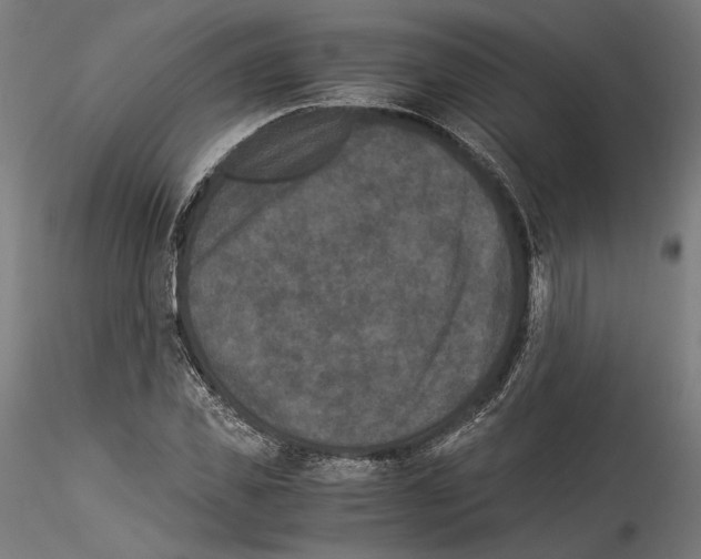 X0000114520925200911301113