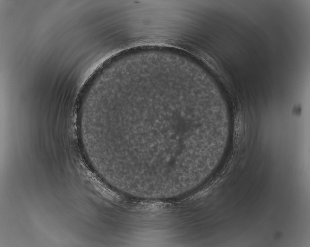 X0000114520926200911301113