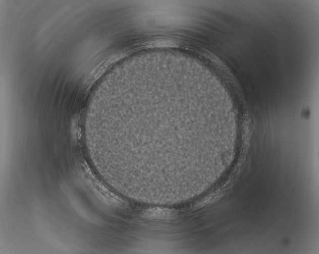 X0000114520929200911301113