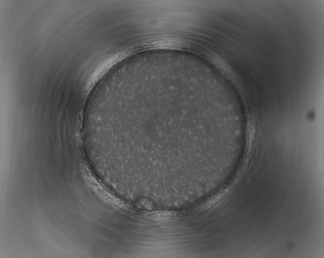 X0000114520930200911301113