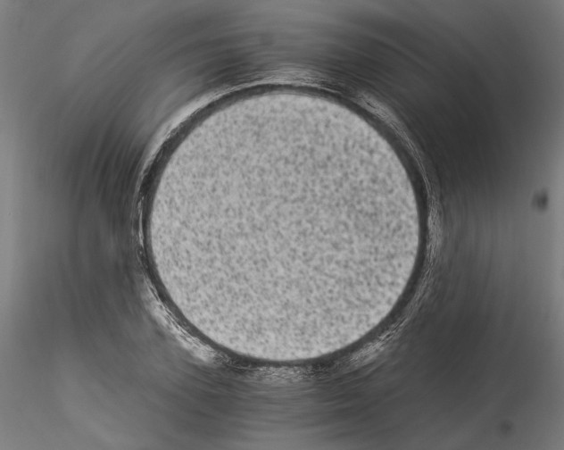 X0000114520931200911301113