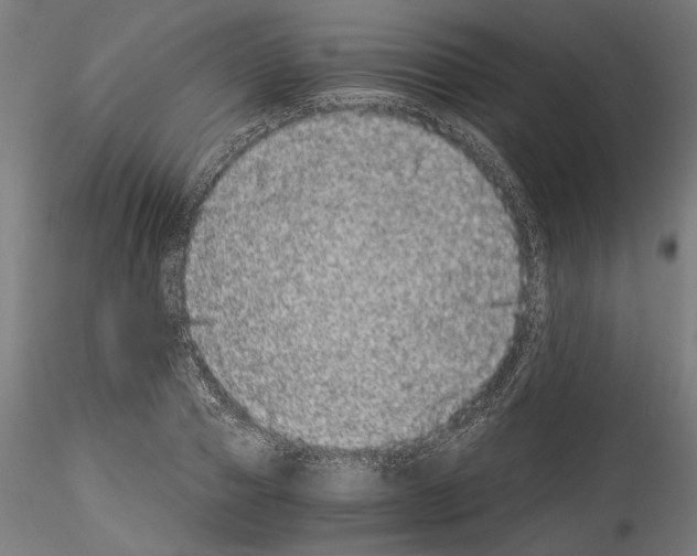 X0000114520937200911301113