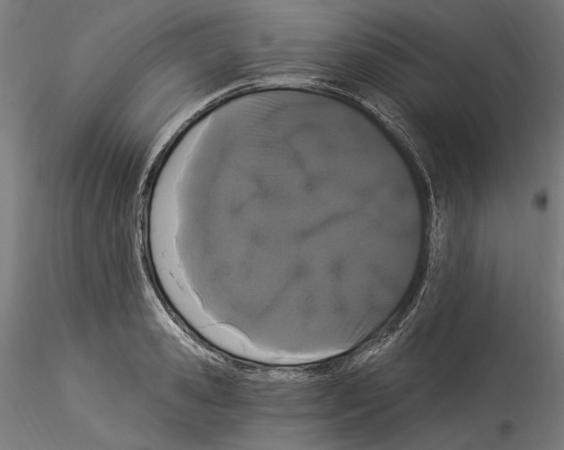 X0000114520941200911301113