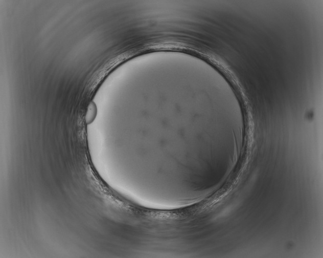 X0000114520945200911301113