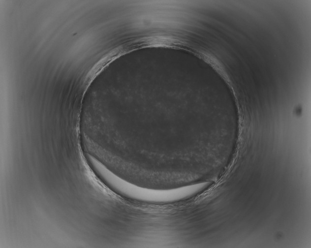 X0000114520946200911301113