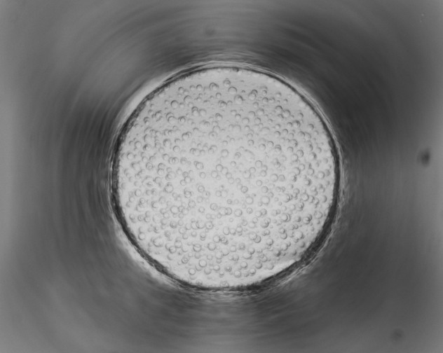 X0000114520949200911301113