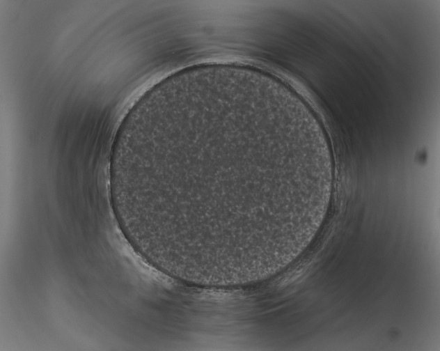 X0000114520951200911301113