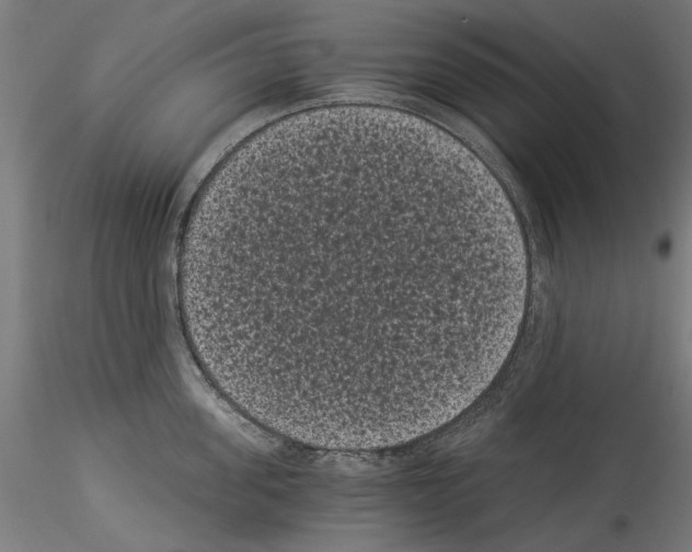 X0000114520955200911301113