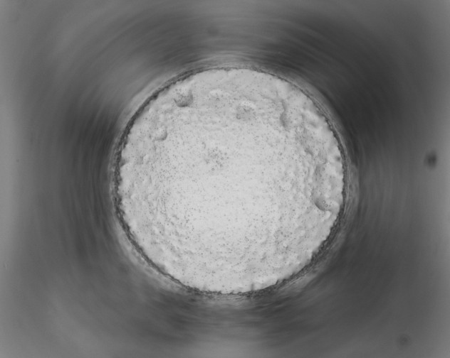 X0000114520957200911301113