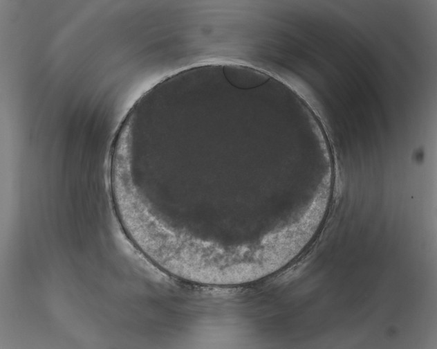 X0000114520958200911301113