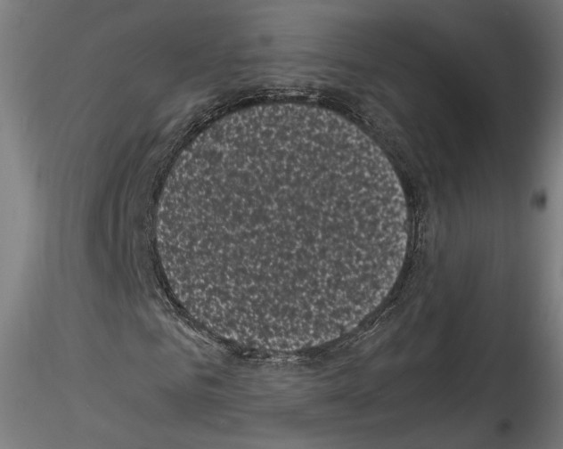 X0000114520961200911301113