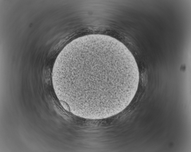 X0000114520963200911301113