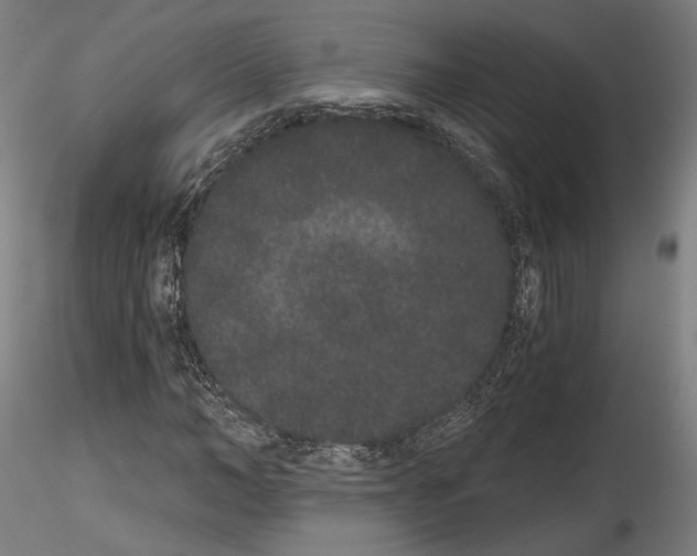 X0000114520966200911301113