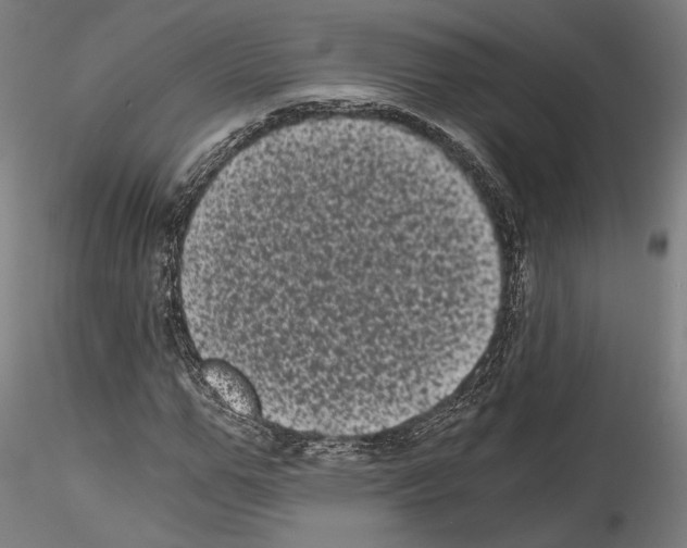 X0000114520967200911301113