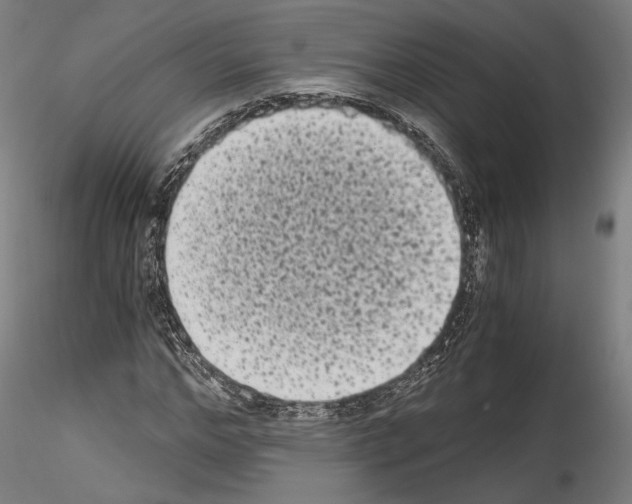 X0000114520968200911301113