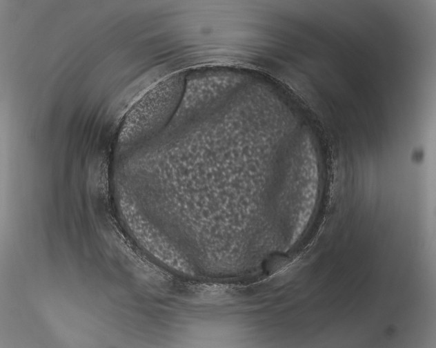 X0000114520969200911301113