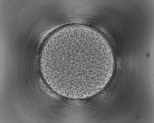 X0000114520971200911301113