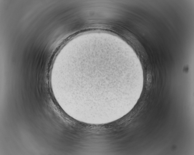 X0000114520972200911301113