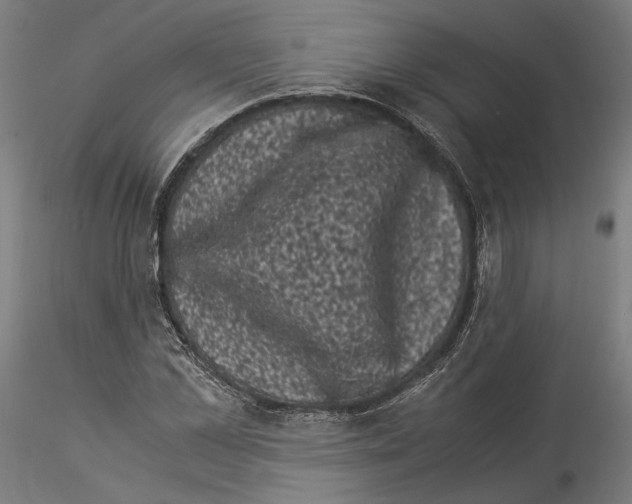 X0000114520973200911301112