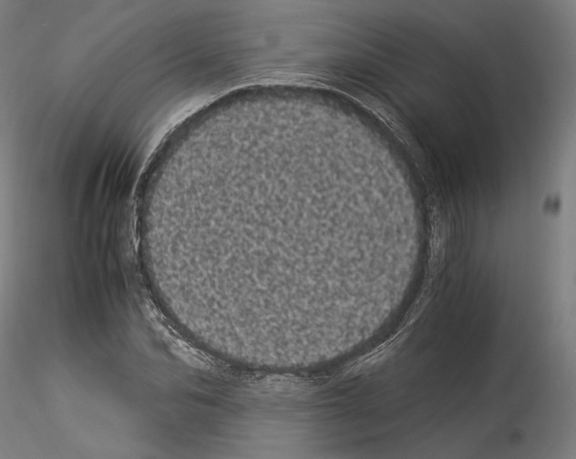 X0000114520974200911301112