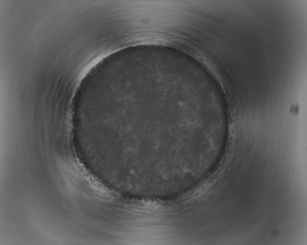 X0000114520975200911301112