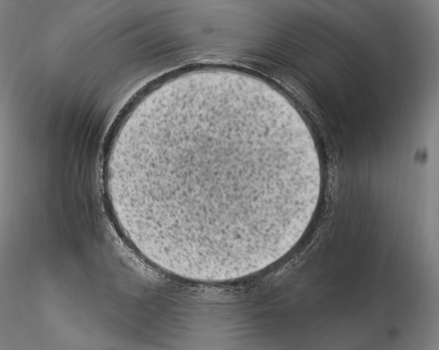 X0000114520976200911301112