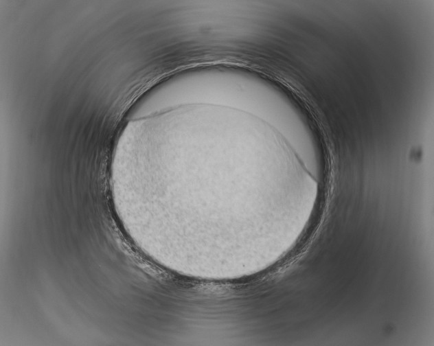 X0000114520977200911301112